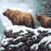 Bear and Cub Animals Paint By Numbers