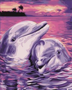 Dolphin Lovers Animals Paint By Numbers