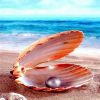 Pearls on the Beach Seascape Paint By Numbers
