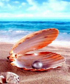 Pearls on the Beach Seascape Paint By Numbers