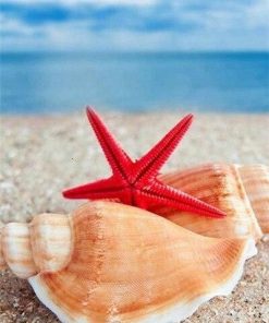 Shells and Starfish on Beach Seascape Paint By Numbers