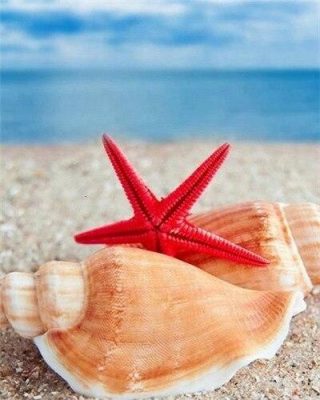 Shells and Starfish on Beach Seascape Paint By Numbers