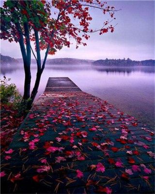 Red Tree Leaves On Lake Landscape Paint By Numbers