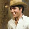 Elvis Presley People Paint By Numbers