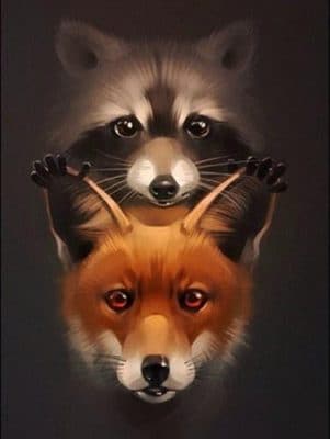 Raccoon and Fox Animals Paint By Numbers