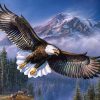 Eagle Flying Birds Paint By Numbers