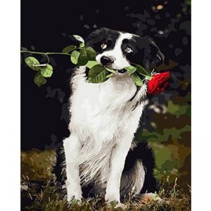 Dog Holds a Red Rose Animals Paint By Numbers