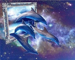 Blue Dolphin From Sky Animals Paint By Numbers