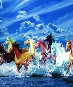 Horse and Waves Animals Paint By Numbers