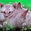Cat Hugs Animals Paint By Numbers