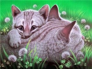 Cat Hugs Animals Paint By Numbers
