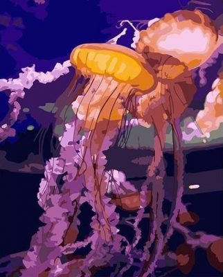Jellyfish in The Sea Animals Paint By Numbers