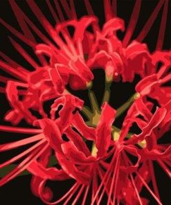 Red Shore Flower  Flowers Paint By Numbers