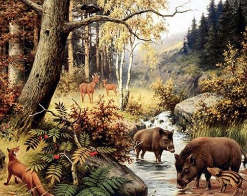 Pigs and Deers in Wild Animals Paint By Numbers