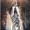 Cat Reflection Tiger Animals Paint By Numbers