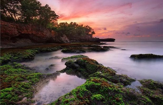 Rocky Beach Landscape Paint By Numbers
