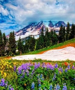 Ice In The Spring Landscape Paint By Numbers