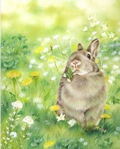 Cute Rabbit In Green Grass Animals Paint By Numbers