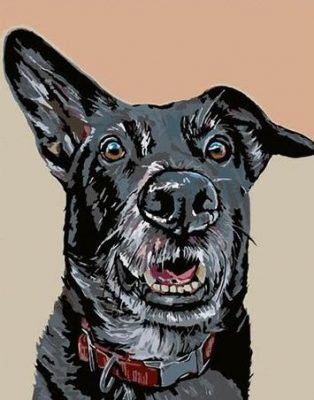 Guard Dog Animals Paint By Numbers