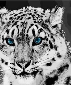 Leopard Blue Eyes Animals Paint By Numbers