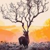 Deer Tree Animals Paint By Numbers