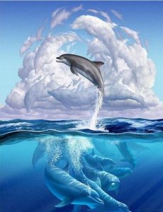 Dolphin Symphony Animals Paint By Numbers