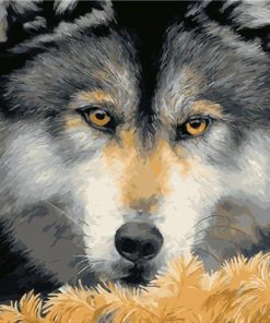 Scary Fierce Wolf Eyes Animals Paint By Numbers