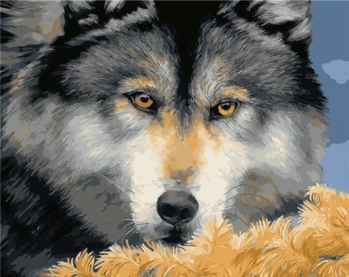 Scary Fierce Wolf Eyes Animals Paint By Numbers
