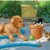 Dog With Cats in a Yard Animals Paint By Numbers