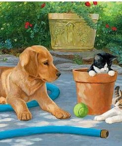 Dog With Cats in a Yard Animals Paint By Numbers