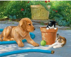 Dog With Cats in a Yard Animals Paint By Numbers