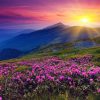 Cloudless Sky Landscape Paint By Numbers