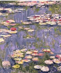 Water Liliy Pond Claude Monet Landscape Paint By Numbers