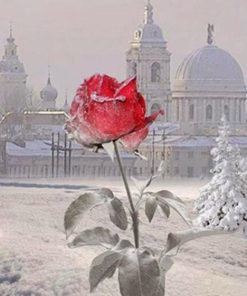 Flowers in Winter Flowers Paint By Numbers