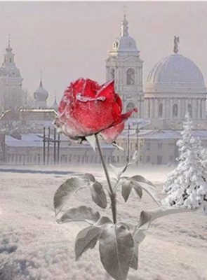 Flowers in Winter Flowers Paint By Numbers