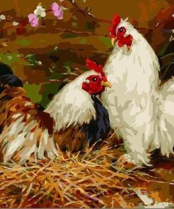 Two Chickens Birds Paint By Numbers