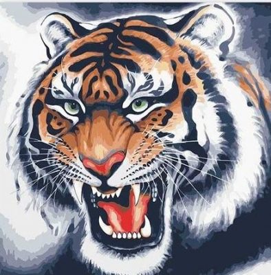 The Siberian Tiger Animals Paint By Numbers