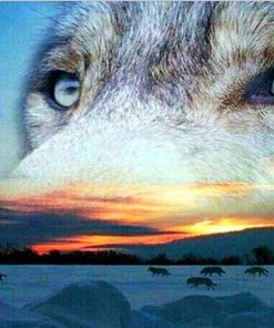 Siberian Wolves Animals Paint By Numbers