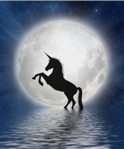 Unicorn in the moon Animals Paint By Numbers