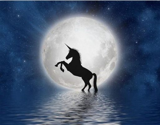 Unicorn in the moon Animals Paint By Numbers