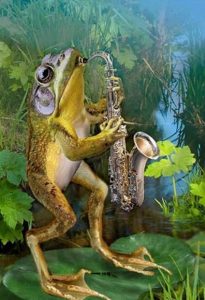 Artist Frog Animals Paint By Numbers