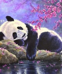 Sleeping Panda Animals Paint By Numbers