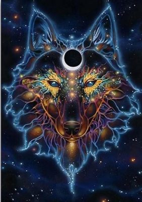 Space Wolf Animals Paint By Numbers