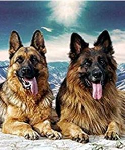 Two Northern Dogs Animals Paint By Numbers