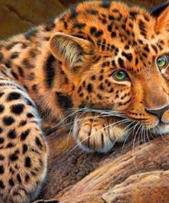 Green Eyed Cheetah Animals Paint By Numbers