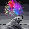Black and White Elephant Animals Paint By Numbers