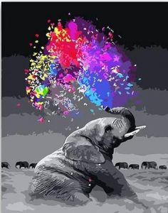 Black and White Elephant Animals Paint By Numbers