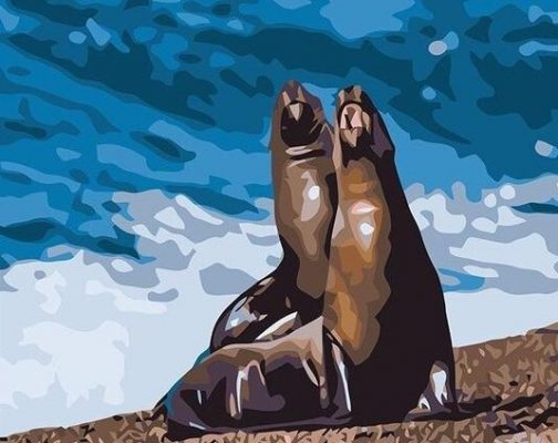 Seals Couple Animals Paint By Numbers