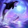 Dolphin In Sea At Night Animals Paint By Numbers