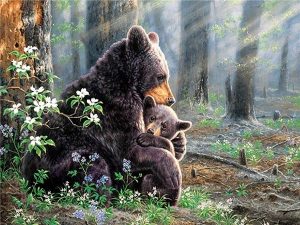 Bear Mother Animals Paint By Numbers